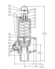 ATO SV Consolidated 1543H-3-21-LP1-BR 1543 Safety Valve