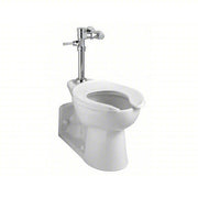 American Standard 6047121.002 Manual Flush Valve 1.28 gpf Gallons per Flush, 11 1/2 in Rough-In, Piston, Exposed