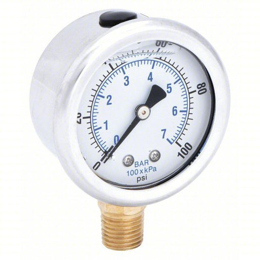 PIC 201L-204E Pressure Gauge, 0 to 100 psi, 1/4 in MNPT, Stainless Steel, Silver