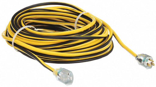Approved Vendor 1FD57 Extension Cord, Outdoor Use, 100 ft Lg, Outlet, 5-15P, 12/3, SJTW, Black/Yellow