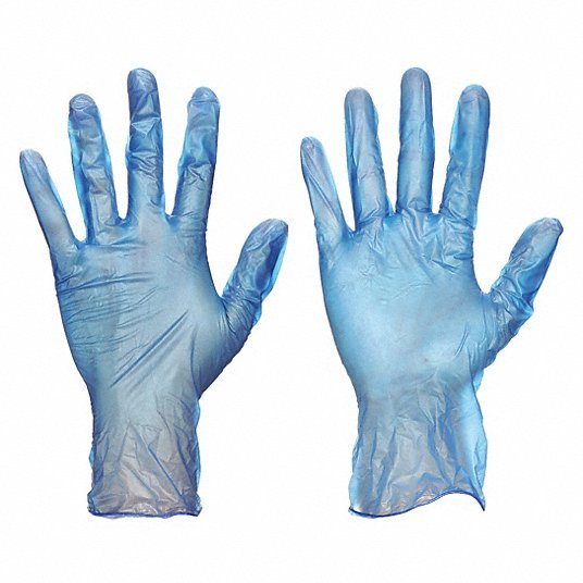 Redwood RW21DL28 Disposable Gloves, Vinyl, Powder Free, Blue, L, 100 PK