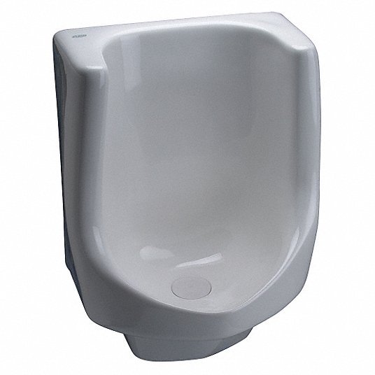 Zurn Z5795 Waterless Urinal EcoVantage, 0 Gallons per Flush, Vitreous China