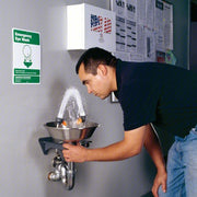 Guardian G1814 Plumbed Eyewash Std, Wall Mnt, Eyes Coverage, Uncovered, Stainless Steel Bowl