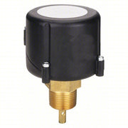 McDonnell & Miller FS254 General Purpose Switch Paddle, 1 in/6 in For Pipe Size, Brass, 1 in NPT