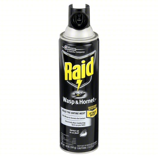 Raid 668006 Wasp and Hornet Killer For Use On Flying and Crawling Insects, Aerosol Spray Can, Outdoor Use
