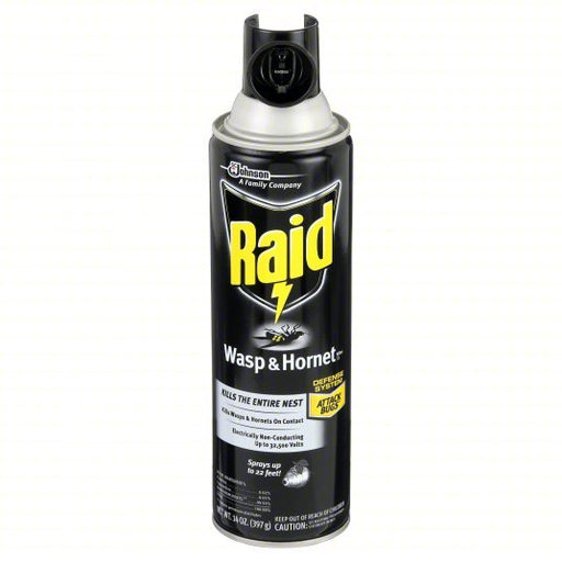 Raid 668006 Wasp and Hornet Killer For Use On Flying and Crawling Insects, Aerosol Spray Can, Outdoor Use