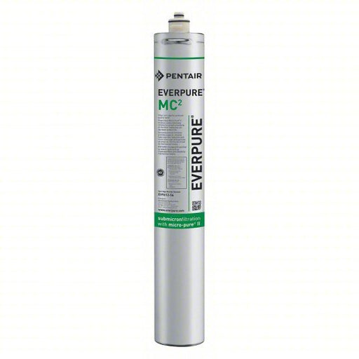 Pentair EV961256-75 Quick Connect Filter 0.5 micron, 1.7 gpm, 9,000 gal, 20 3/4 in Overall Ht