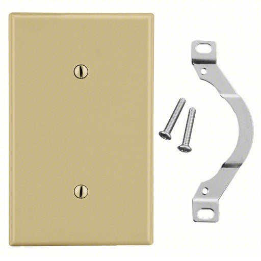 Hubbell P14I Blank Strap Mount Wall Plate Blank, Plastic, Ivory, 0 Outlet Openings, 0 Switch Openings