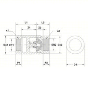 Apollo 6210801 Ball Cone Spring Check Valve Single Flow, Stainless Steel, FNPT x FNPT