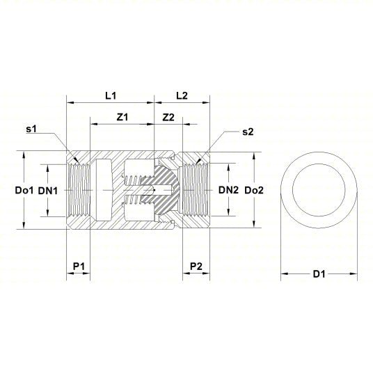 Apollo 6210801 Ball Cone Spring Check Valve Single Flow, Stainless Steel, FNPT x FNPT
