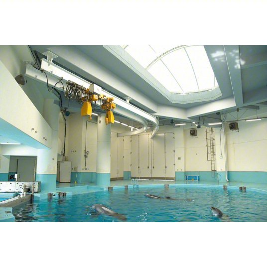 Harrington NERM020L-L-20 Electric Chain Hoist H4 Heavy Duty, Motorized Trolley, 208-230/460V AC, 20 ft Lift Lg