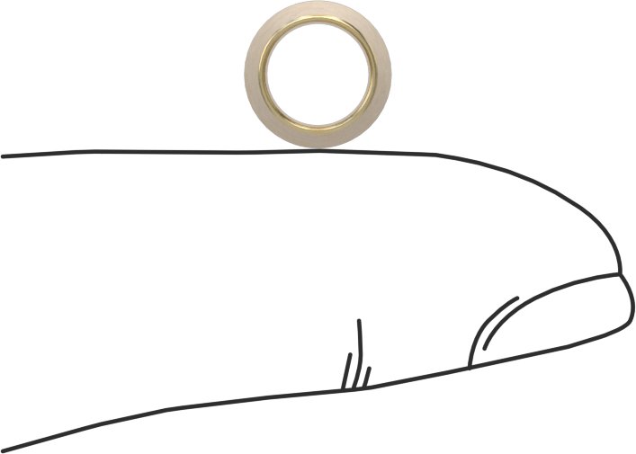 McMaster 7473T194 Sleeve for 1/4" Tube OD Precision Compression Fitting for Copper Tube