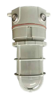 Rig-A-Lite AVPH20L2UHFGC Ceiling Mount LED Globe & Guard Lighting for Hazardous Locations