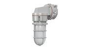 Rig-A-Lite AVPH20L2UHFGC Ceiling Mount LED Globe & Guard Lighting for Hazardous Locations