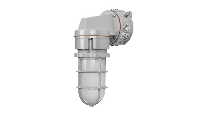 Rig-A-Lite AVPH20L2UHFGC Ceiling Mount LED Globe & Guard Lighting for Hazardous Locations