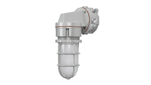 Rig-A-Lite AVPH20L2UHFGC Ceiling Mount LED Globe & Guard Lighting for Hazardous Locations