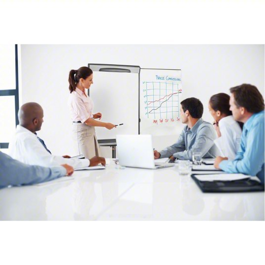 Mastervision EA48062119 Dry Erase Board Mobile/Casters, 42 in Dry Erase Ht, 29 1/2 in Dry Erase Wd, 27 in Dp, Black, White