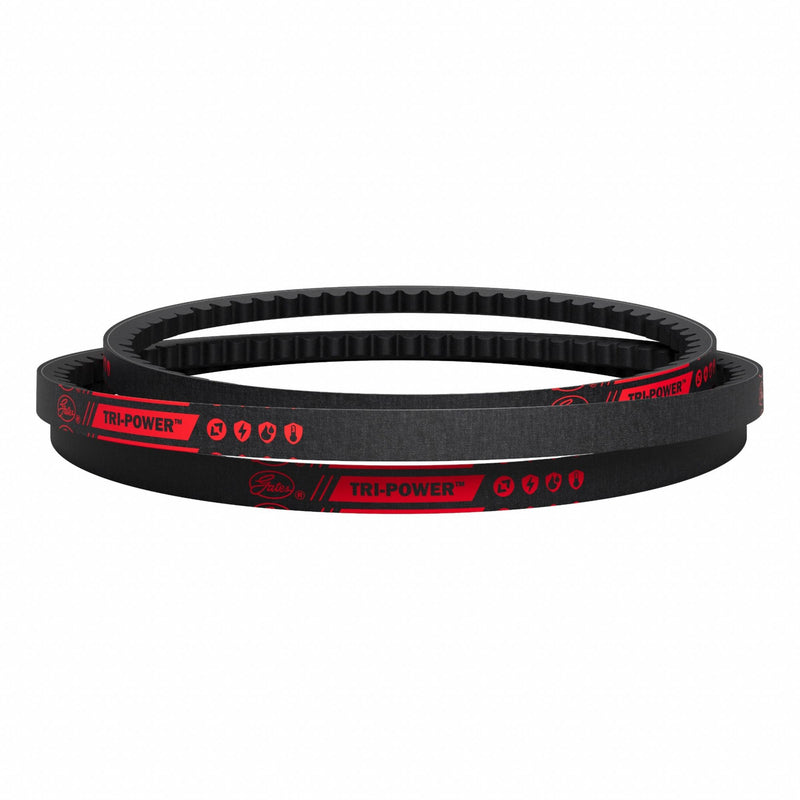 Gates BX62 Cogged V-Belt, BX62, 65 in Outside Lg, 21/32 in Top Wd, 13/32 in Thick, Polyester