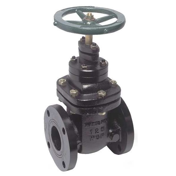Watts NRS-RW Cast Iron Gate Valve 2-1/2 in