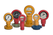Oteco 381981 Model 8 Pressure Gauge